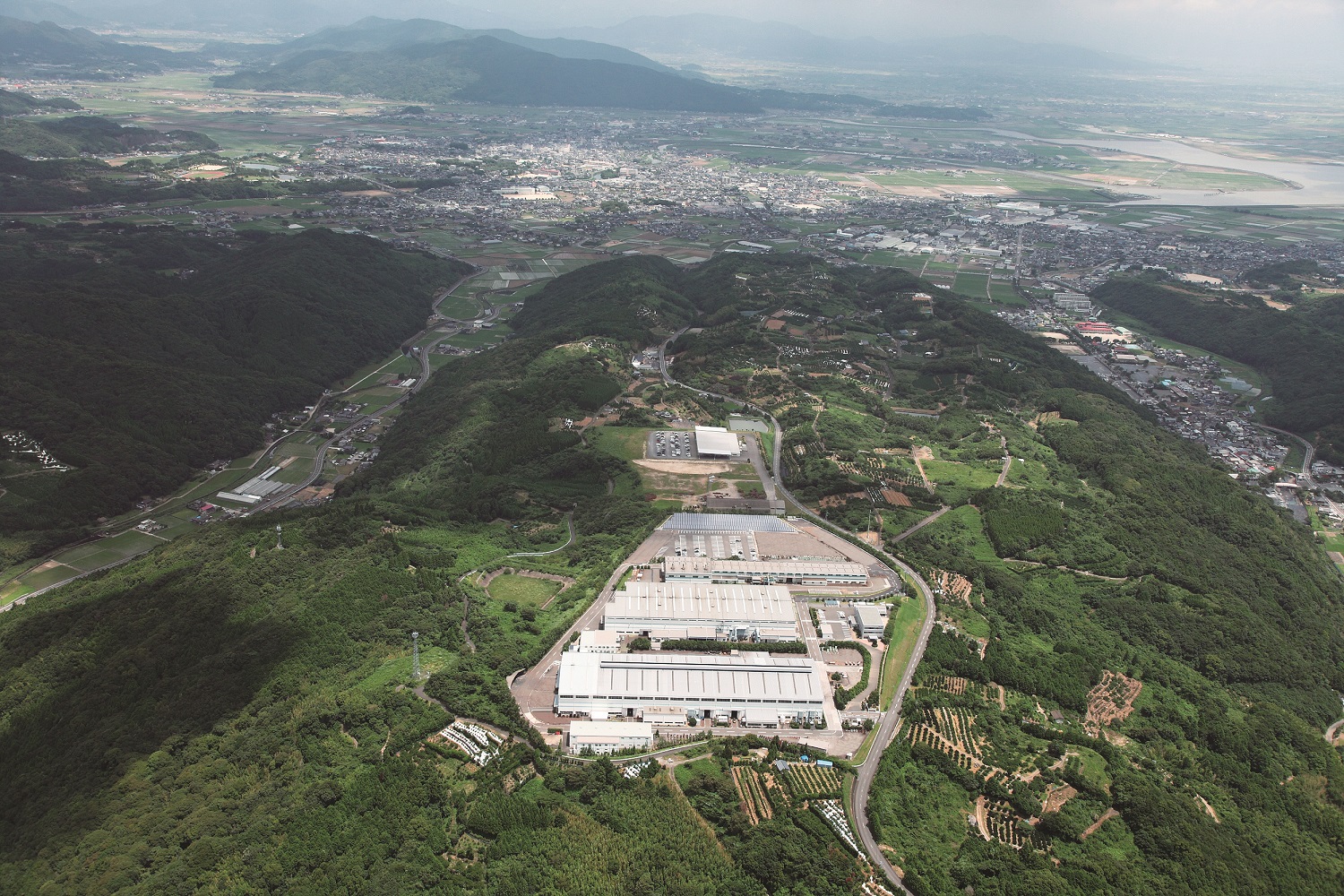 Factory in the Middle of the Forest